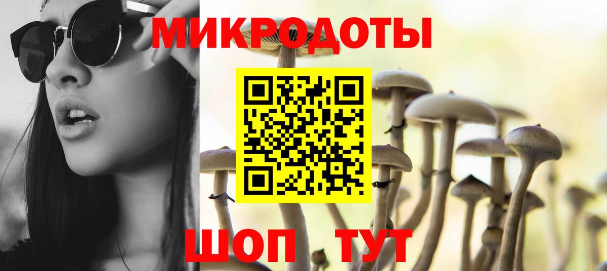 Галлюциногенные грибы Psilocybine cubensis  Вход с VPN  Дзержинск  Псилоцибиновые грибы прущие грибы 